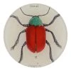 John Derian Decoupage Brazil Bug