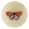 John Derian Coral Butterfly
