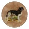 John Derian Decoupage Doggy