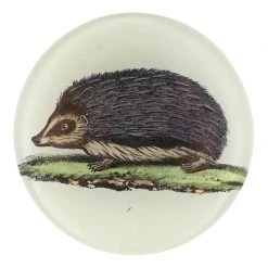 John Derian Hedgehog Decoupage