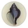 John Derian Purple Shell 1 John Derian Purple Shell