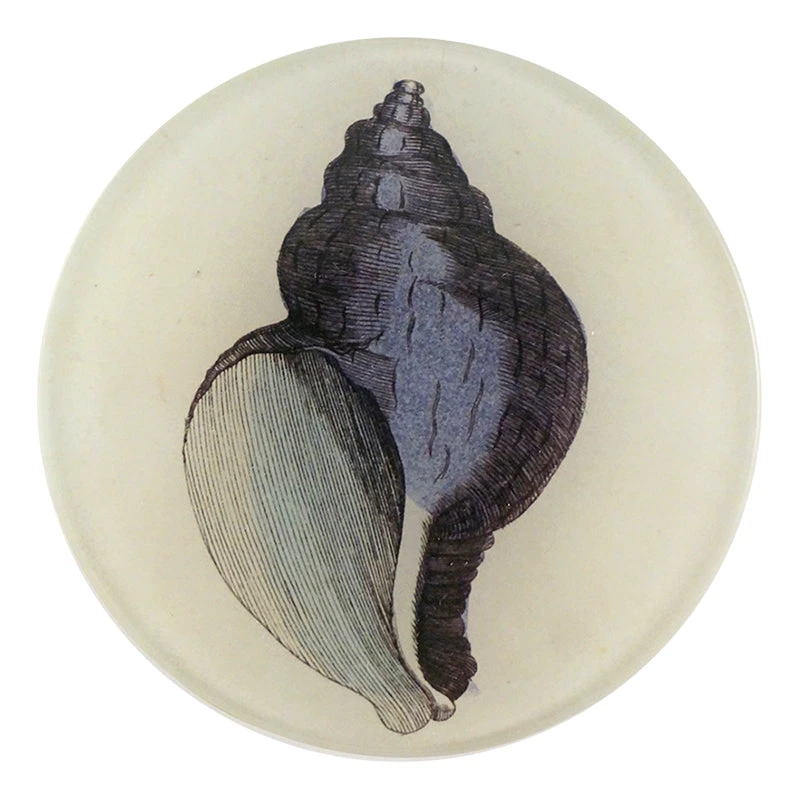 John Derian Purple Shell 3 John Derian Purple Shell