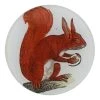 John Derian A Red Squirrel