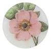 John Derian Rosa Canina Decoupage