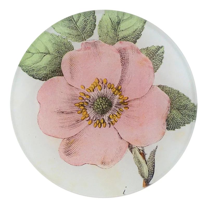 John Derian Rosa Canina Decoupage 3 John Derian Rosa Canina Decoupage