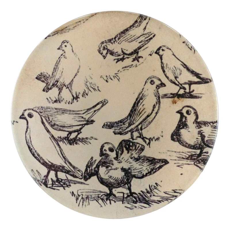 John Derian Eight Birds 3 John Derian Eight Birds