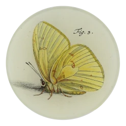 John Derian Decoupage Tom Fig. 3