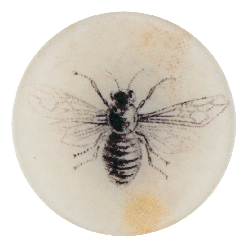 John Derian Decoupage Woven Bee 3 John Derian Decoupage Woven Bee