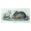 John Derian Decoupage Rabbits