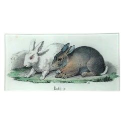 John Derian Decoupage Rabbits