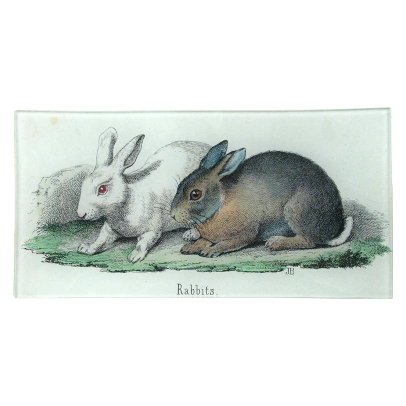 John Derian Decoupage Rabbits 3 John Derian Decoupage Rabbits