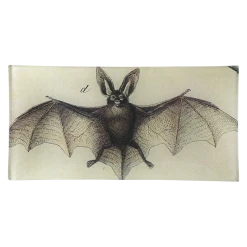 John Derian Bat D