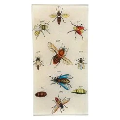 John Derian Decoupage Bees & Bugs