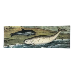John Derian Decoupage Dolphin & Narwhal