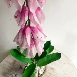 The Green Vase Potted Pink Foxglove