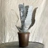 Vintage Art Antique French Tole Potted Agave Plant Sculpture (No. 4)