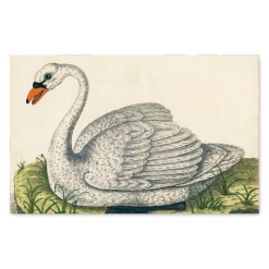 John Derian Company Books & Notebooks John Derian Picture Book