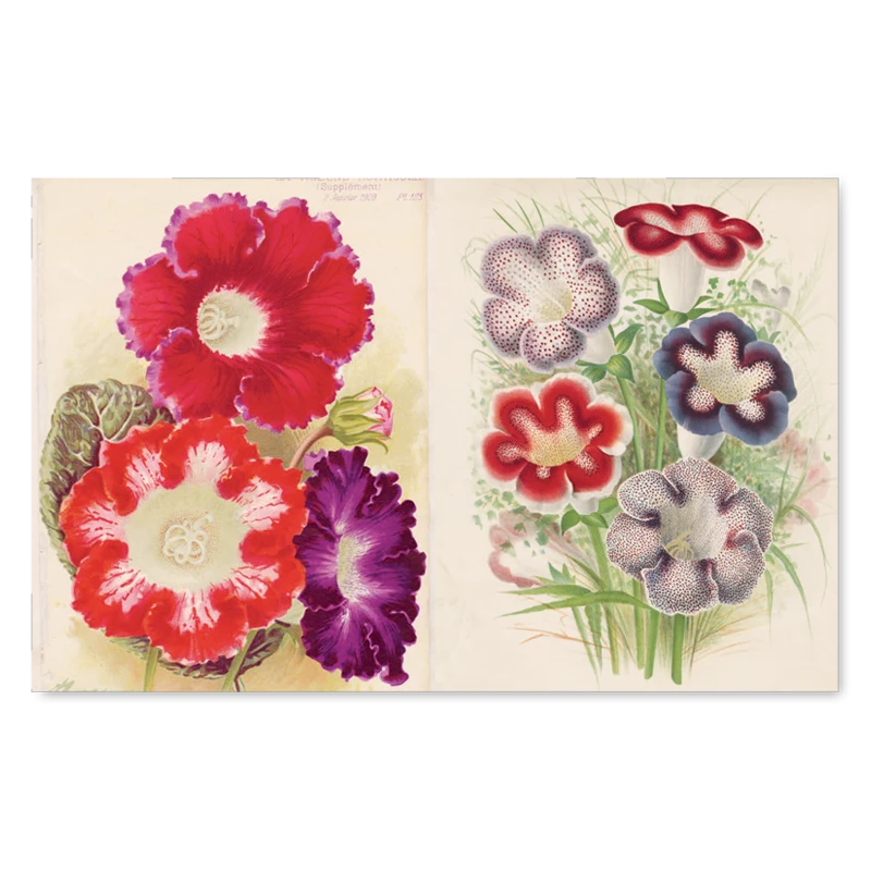 John Derian Company John Derian Picture Book With Eye Tote Small Goods 5 John Derian Company John Derian Picture Book With Eye Tote Small Goods