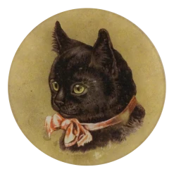 John Derian Decoupage Black Kitten