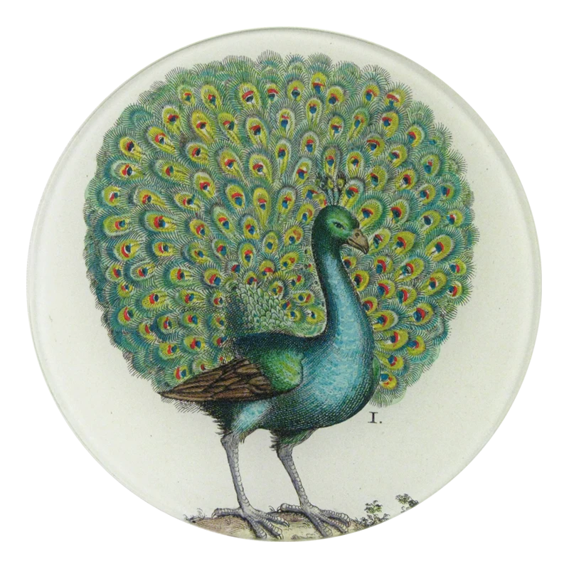 John Derian Coy Peacock 3 John Derian Coy Peacock