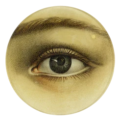 John Derian Eye (Left) Decoupage