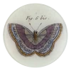 John Derian Fig. 6 Bis Butterfly 1 John Derian Fig. 6 Bis Butterfly