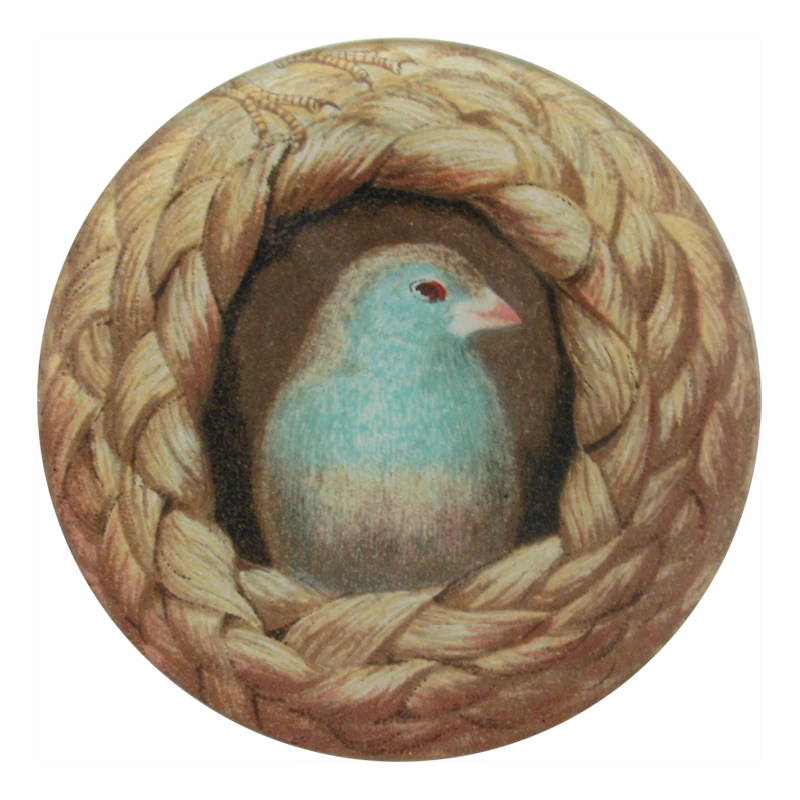 John Derian Nested Wax Bill 3 John Derian Nested Wax Bill