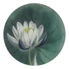 John Derian Decoupage Water Lily