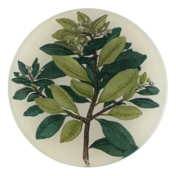 John Derian Winter Cinnamon