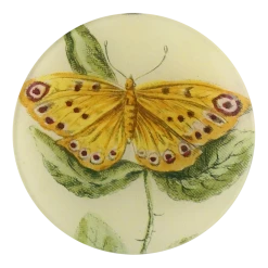 John Derian Decoupage Yellow Butterfly