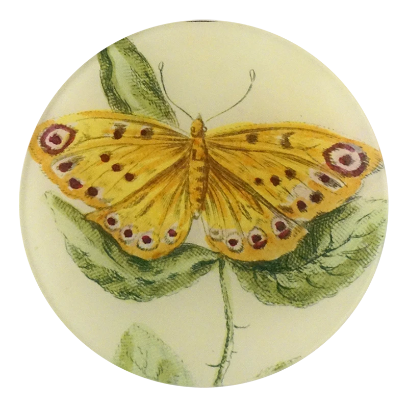 John Derian Decoupage Yellow Butterfly 3 John Derian Decoupage Yellow Butterfly