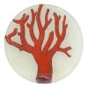John Derian Decoupage Red Coral