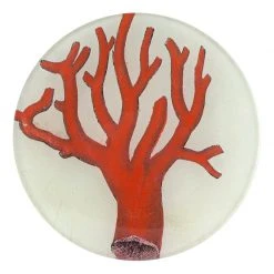 John Derian Decoupage Red Coral