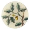 John Derian Acorns (Titmouse)