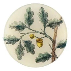 John Derian Acorns (Titmouse)