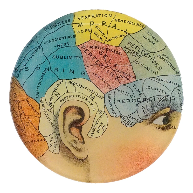 John Derian Aspiring Decoupage 3 John Derian Aspiring Decoupage