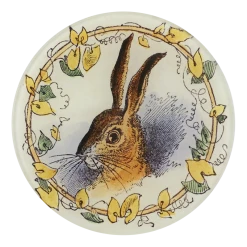 John Derian Ears Of The Hare Decoupage