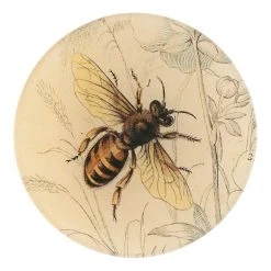 John Derian Honey Bee (Facing Right) Decoupage