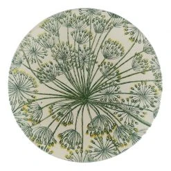 John Derian Masterwort