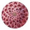 John Derian Light Purple Dahlia