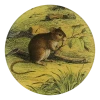 John Derian Mouse With Branch