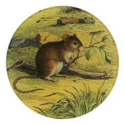 John Derian Mouse With Branch