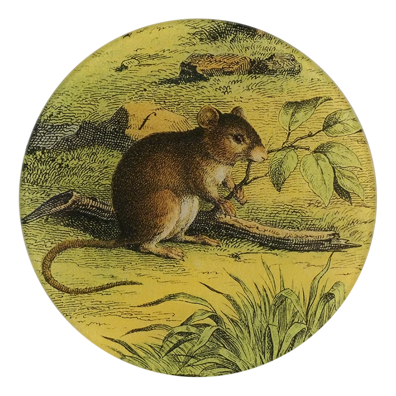 John Derian Mouse With Branch 3 John Derian Mouse With Branch