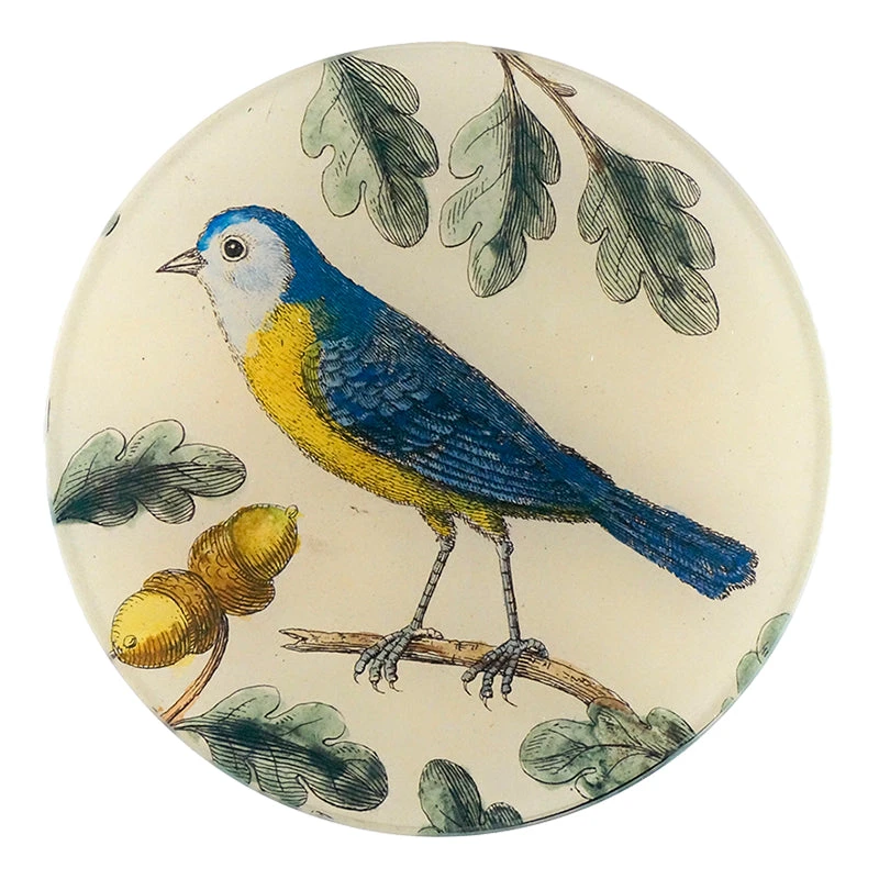 John Derian Titmouse Decoupage 3 John Derian Titmouse Decoupage