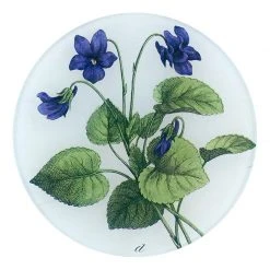 John Derian Violets