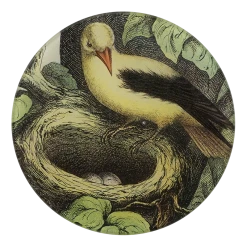 John Derian Yellow Nested Bird Decoupage