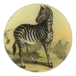 John Derian Decoupage Zebra