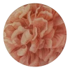 John Derian Valentine's Day Blush Peony - FINAL SALE