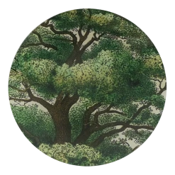 John Derian Decoupage Branches