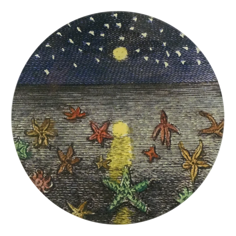 John Derian Decoupage Starfish At Night 3 John Derian Decoupage Starfish At Night